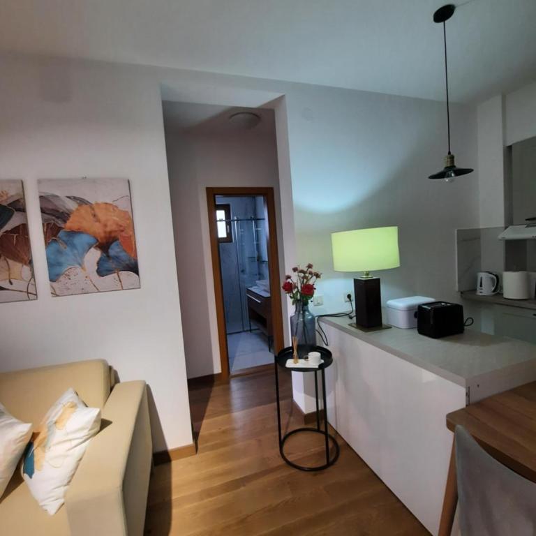 NJANJA apartmani Zlatibor - Apartman sa 2 Spavaće Sobe i Balkonom - 27