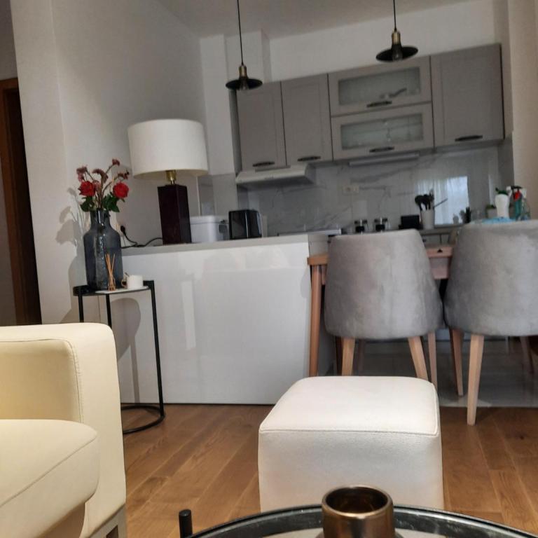 NJANJA apartmani Zlatibor - Apartman sa 2 Spavaće Sobe i Balkonom - 46