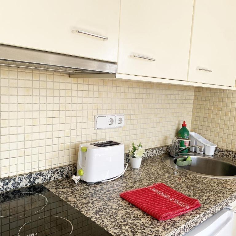 Nevadahome Arttyfal studio junto al Telesilla - Apartamento de 1 dormitorio - 13
