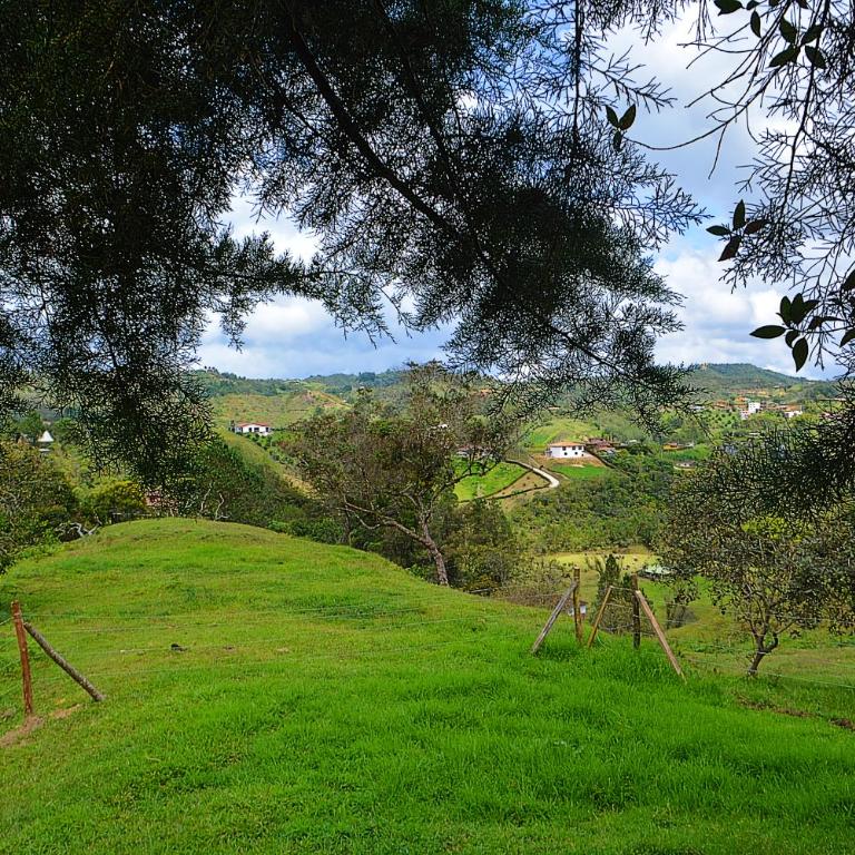 Cabaña Madre Selva - Chalet - 32