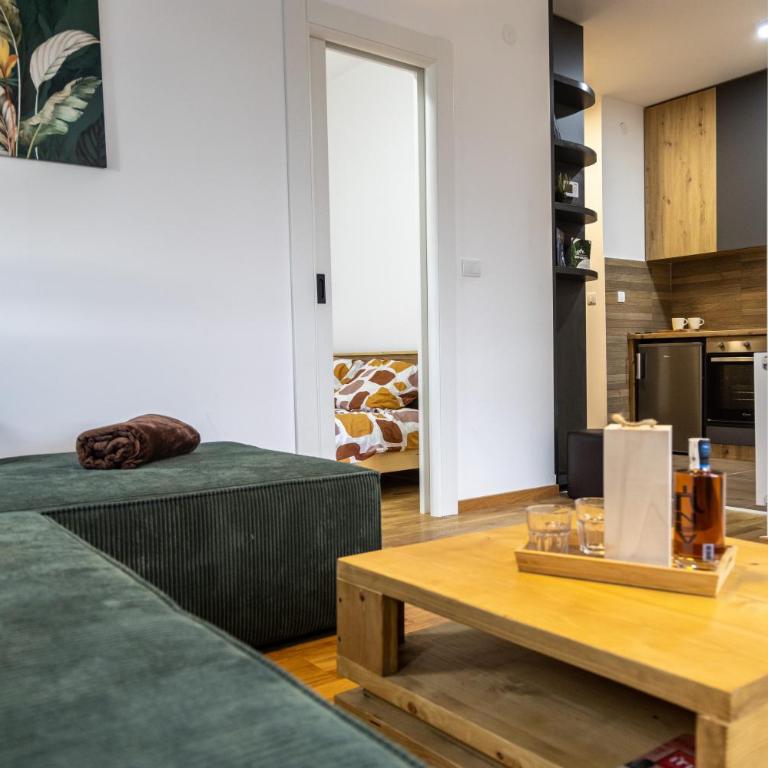 Apartmani RAZVIGORA - DivčiNova - Apartment with View - 26
