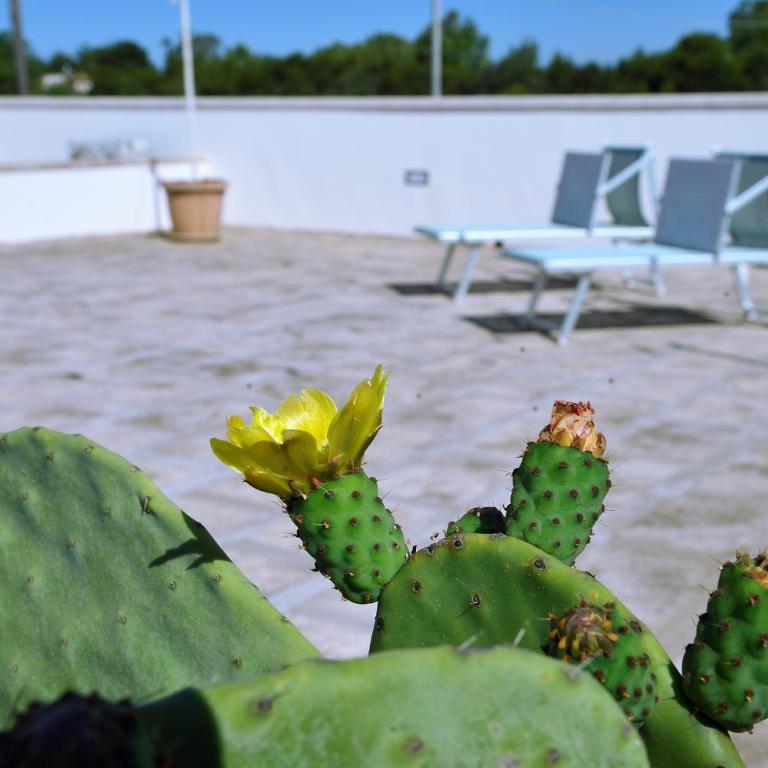 B&B Domus Terra Mare - Camera King Deluxe - 34