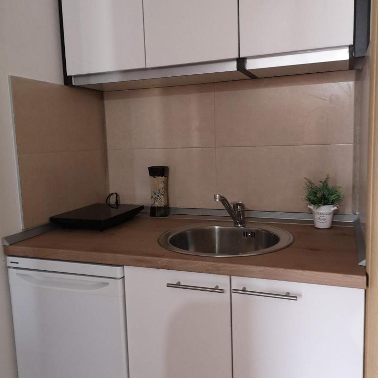 Apartman Orijent - Apartman sa 1 Spavaćom Sobom - 19