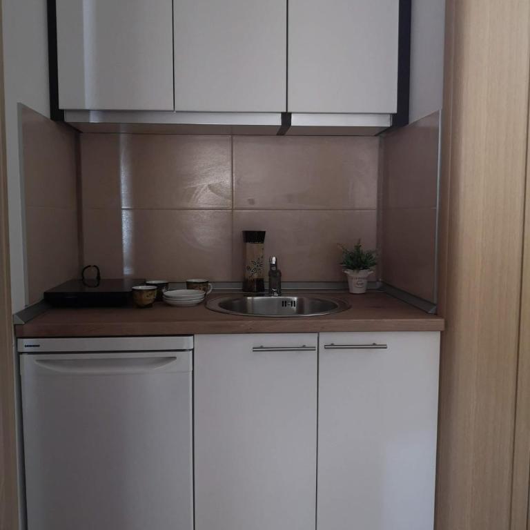 Apartman Orijent - Apartman sa 1 Spavaćom Sobom - 10