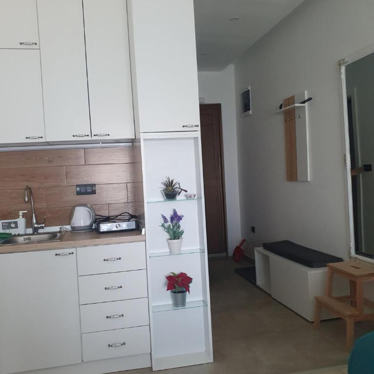Snežna pahuljica P19 - Deluxe Double Studio - 12