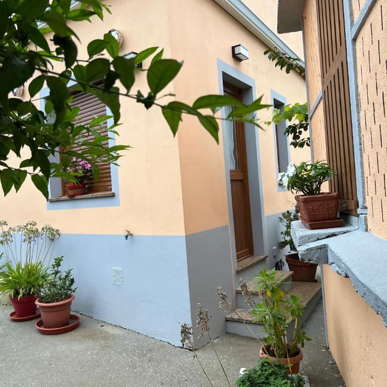 Apartamento de Pascualin con jardin privado en Ortigueira - Apartamento de 1 dormitorio - 42