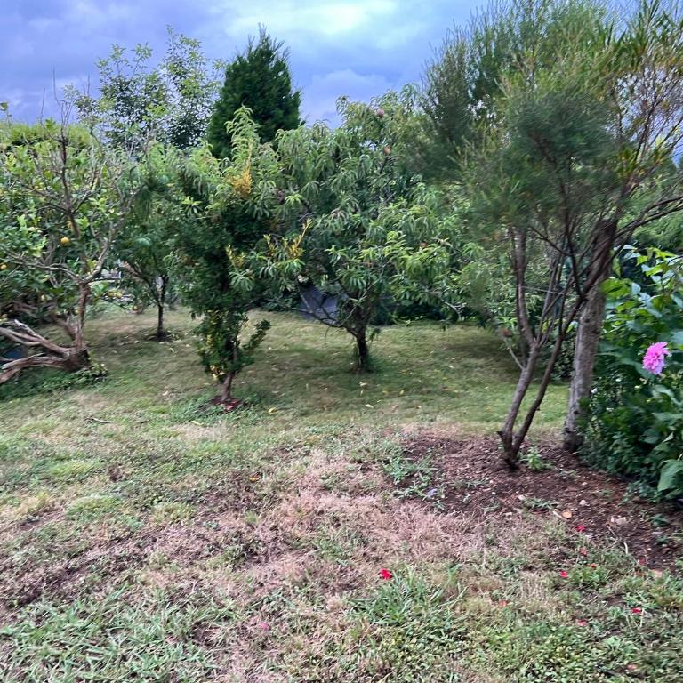 Apartamento de Pascualin con jardin privado en Ortigueira - Apartamento de 1 dormitorio - 55