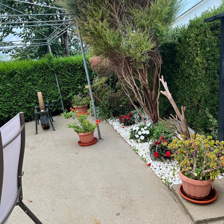 Apartamento de Pascualin con jardin privado en Ortigueira - Apartamento de 1 dormitorio - 57