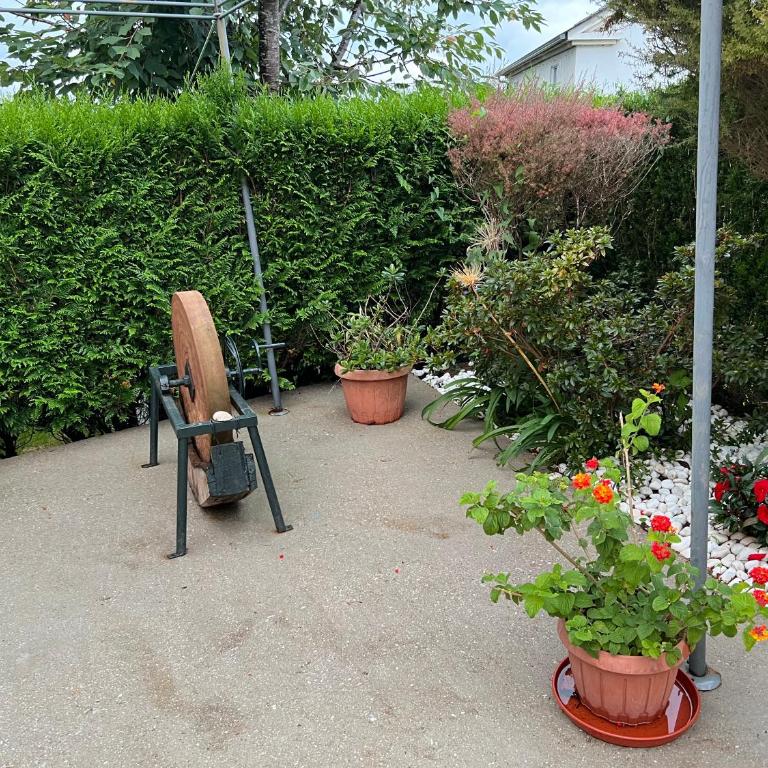 Apartamento de Pascualin con jardin privado en Ortigueira - Apartamento de 1 dormitorio - 61