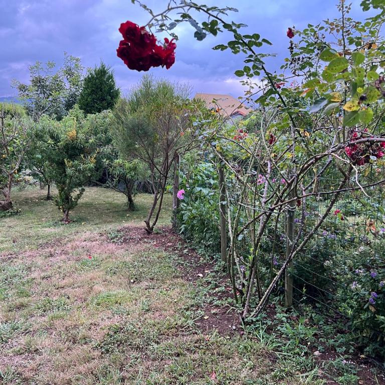 Apartamento de Pascualin con jardin privado en Ortigueira - Apartamento de 1 dormitorio - 63