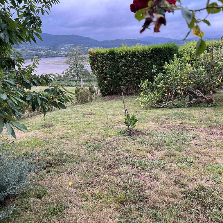 Apartamento de Pascualin con jardin privado en Ortigueira - Apartamento de 1 dormitorio - 64