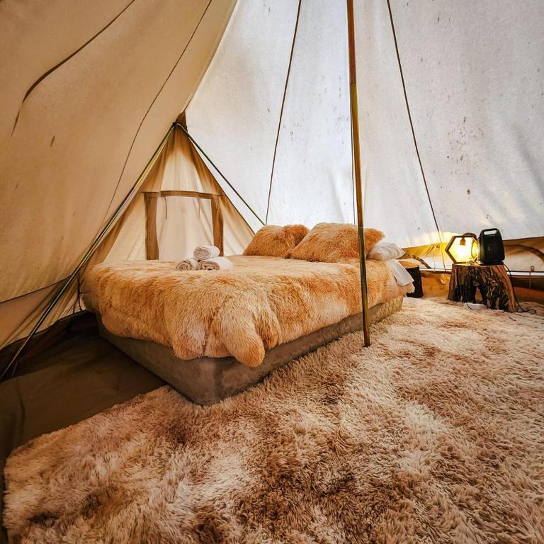 Glamping Miraflores - Habitación Deluxe - 1 cama grande - 3