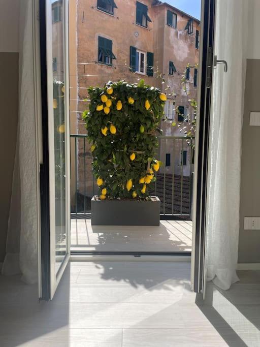 Luminoso, appena ristrutturato - Casa con 4 camere da letto - 15