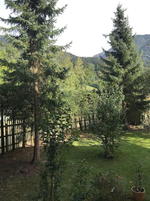 Ferienwohnung Haus Steiner - Apartment mit 1 Schlafzimmer - 18