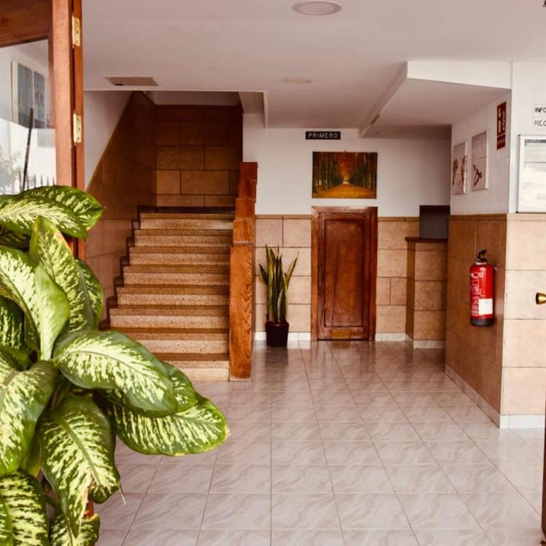 Alegranza 18 - Three-Bedroom Apartment - 19