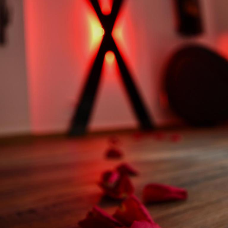 L'Arena - Love Room, Jacuzzi - Studio mit Whirlpool - 36