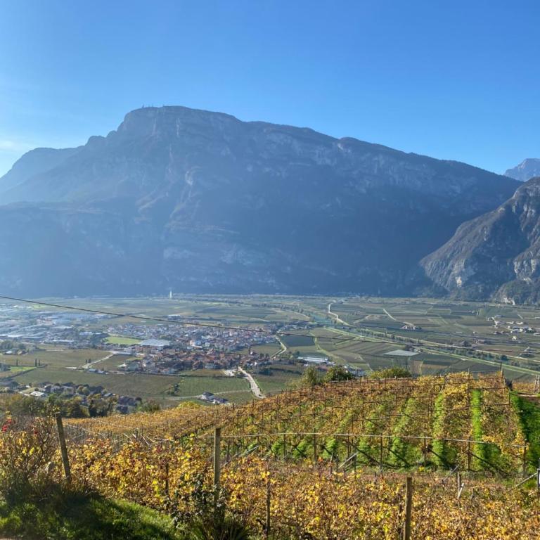Agritur Chalet Belvedere - Apartment mit 3 Schlafzimmern - 3