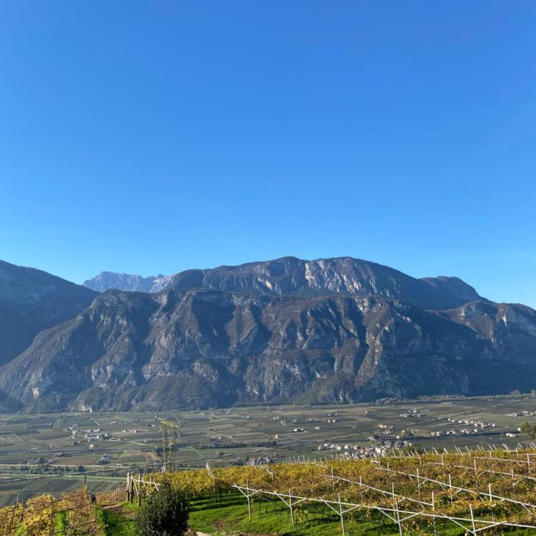 Agritur Chalet Belvedere - Apartment mit 3 Schlafzimmern - 4