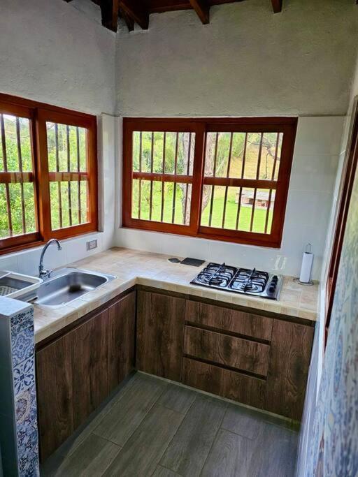 Tranquilidad y Naturaleza Cabaña Concepción - Casa de 4 dormitorios - 17