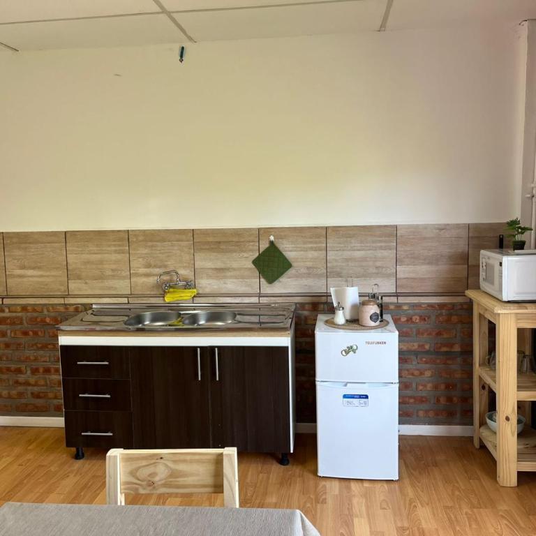 Ñireco 1 - One-Bedroom Apartment - 1