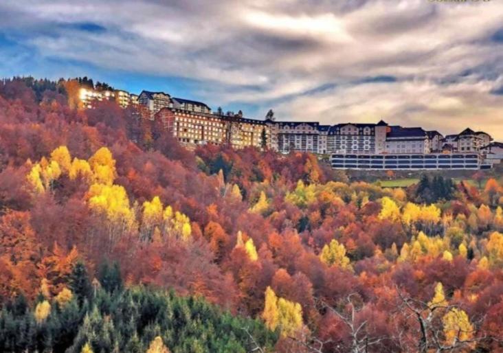 Apartman Tubic s69 Milmari resort Kopaonik - One-Bedroom Apartment - 8