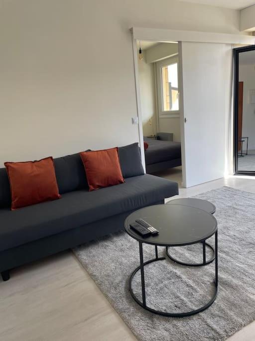 GREY Bel appartement coté mer ! - Appartement 1 Chambre - 6