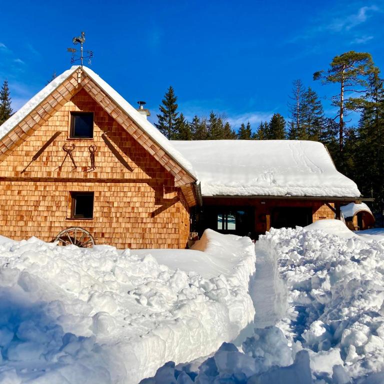 Chalet Wildalpen (in Ruhelage & mit Wellness) - Chalet mit 2 Schlafzimmern - 18