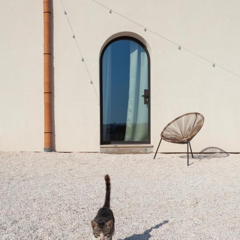 Villa Rocca 1914 - Villa with Private Pool - 16