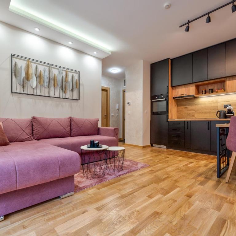 Merci apartman Zlatibor - Apartman s 1 Spavaćom Sobom i Terasom - 1