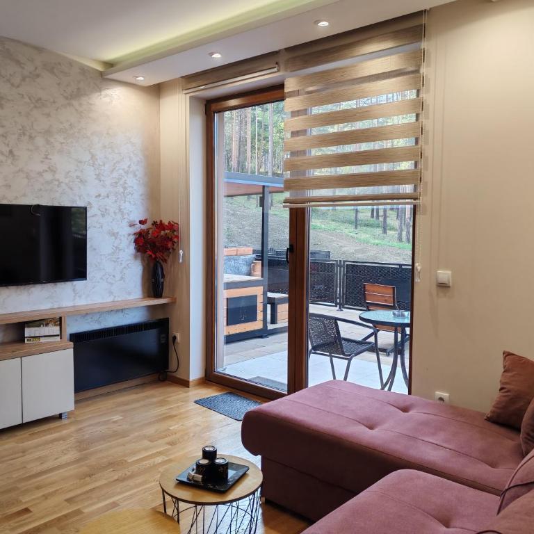 Merci apartman Zlatibor - Apartman s 1 Spavaćom Sobom i Terasom - 33