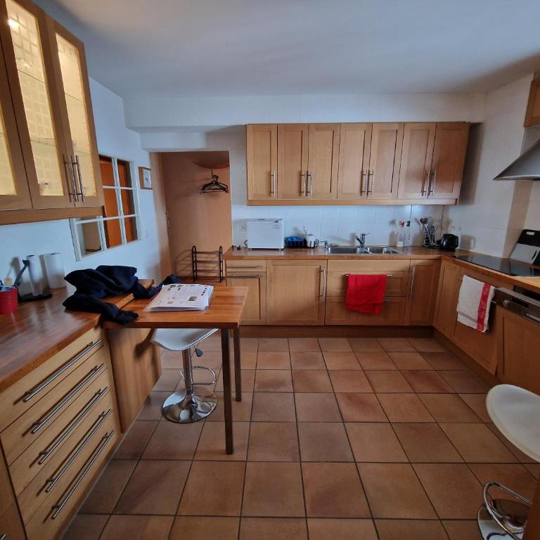 Magnifique appartement en bord des pistes - Apartment mit 1 Schlafzimmer, Balkon und Bergblick - 3