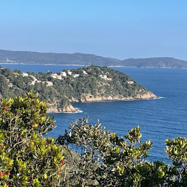 Les calanques - Appartement 1 Chambre - 25