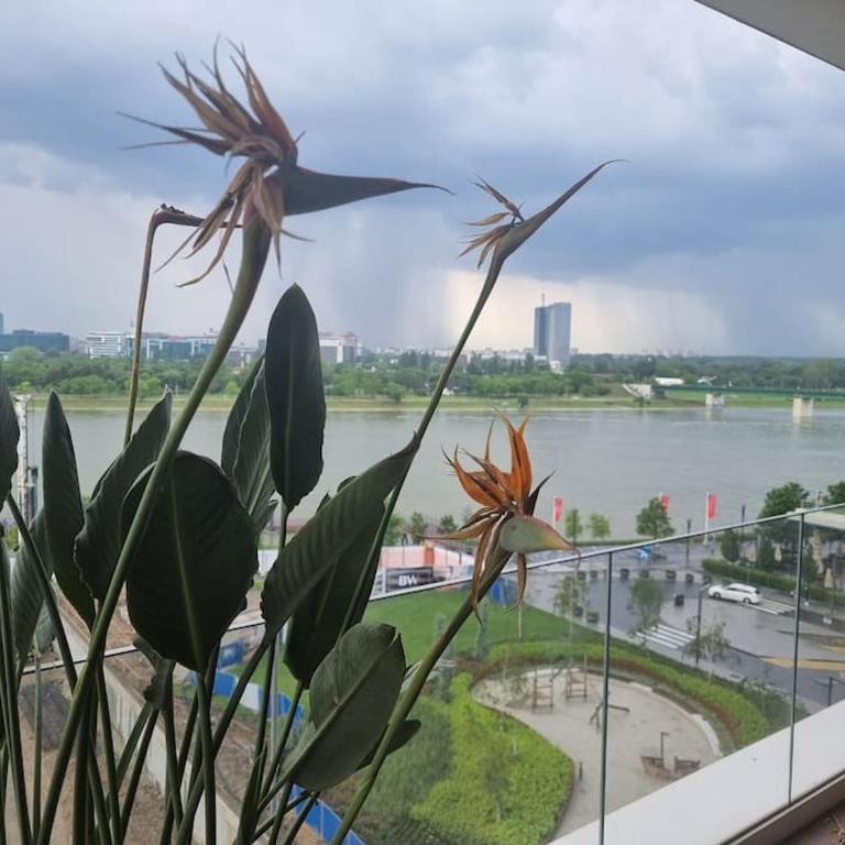 Exclusive apartman Belgrade Waterfront Terraces - Unique - Apartman sa 2 Spavaće Sobe - 18