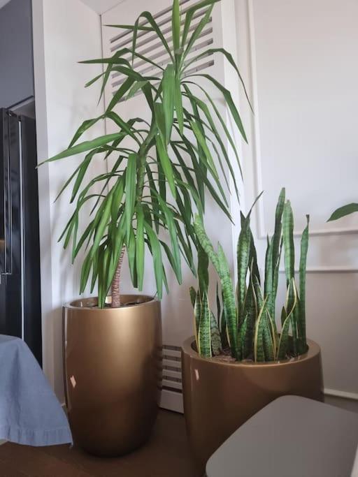 Exclusive apartman Belgrade Waterfront Terraces - Unique - Apartman sa 2 Spavaće Sobe - 42