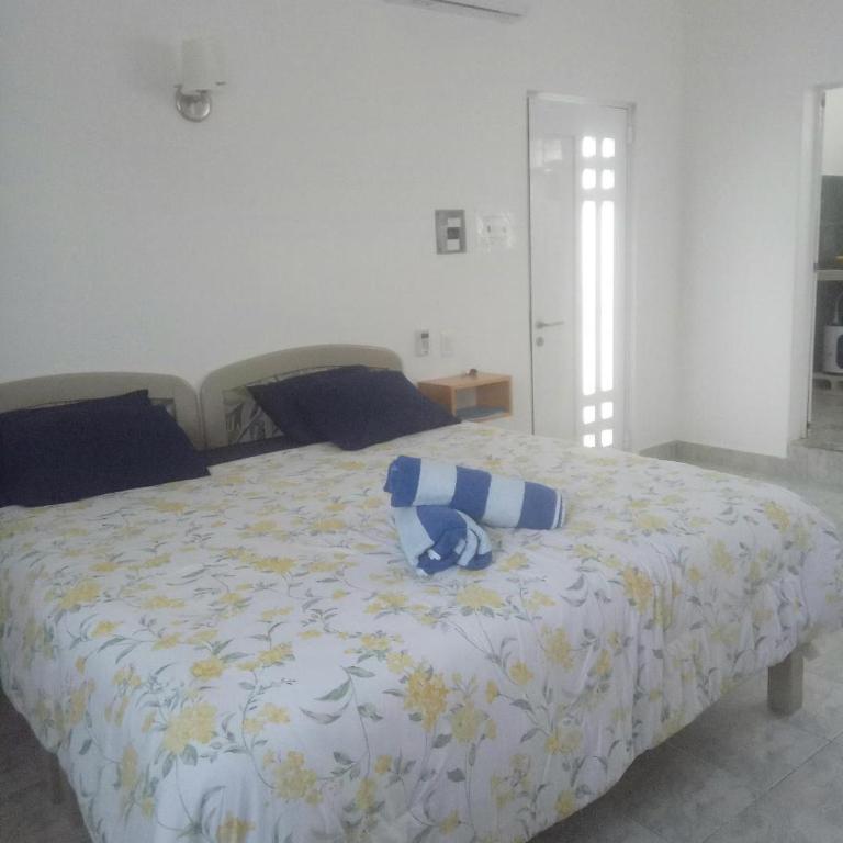 Estudio Coatí Azul en la Isla de Cozumel en el Caribe - Estudio con cama extragrande - 13