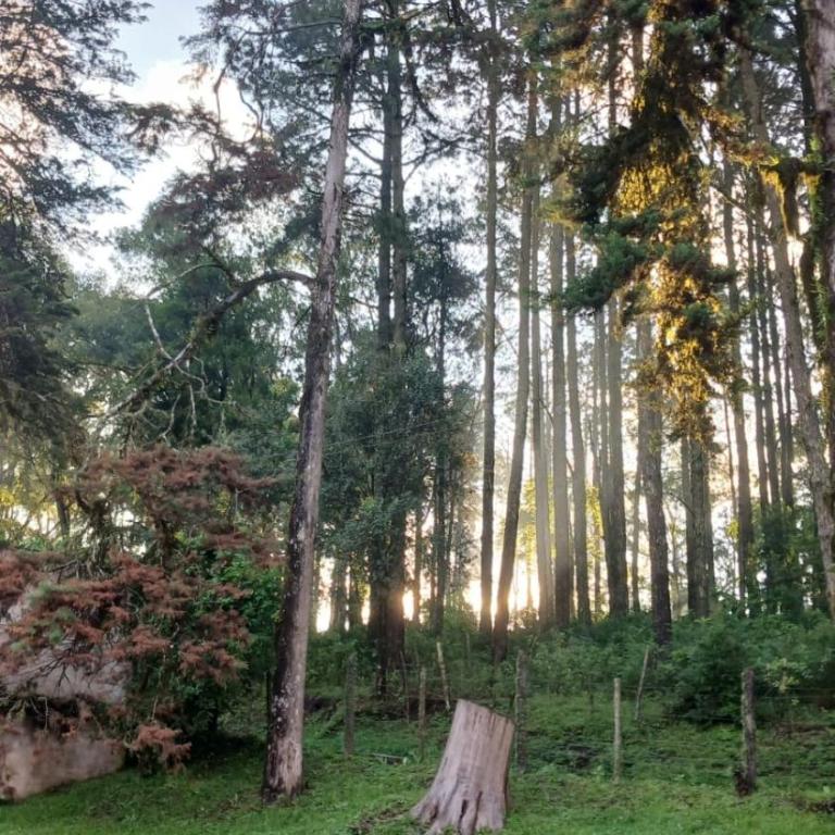 Casa Naranja - Casa de 2 dormitorios - 2