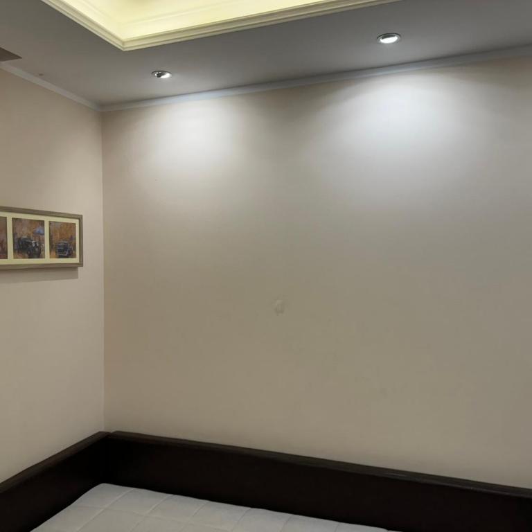 Vila Kopaonik Apartmani Milenkovic - Standardni Trokrevetni Studio - 16