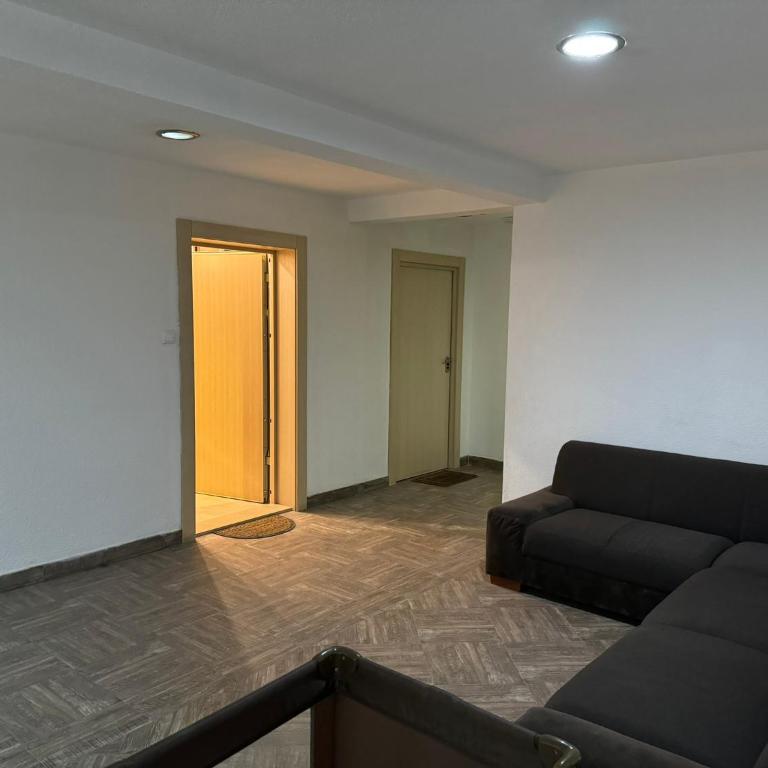 Vila Kopaonik Apartmani Milenkovic - Standardni Trokrevetni Studio - 41