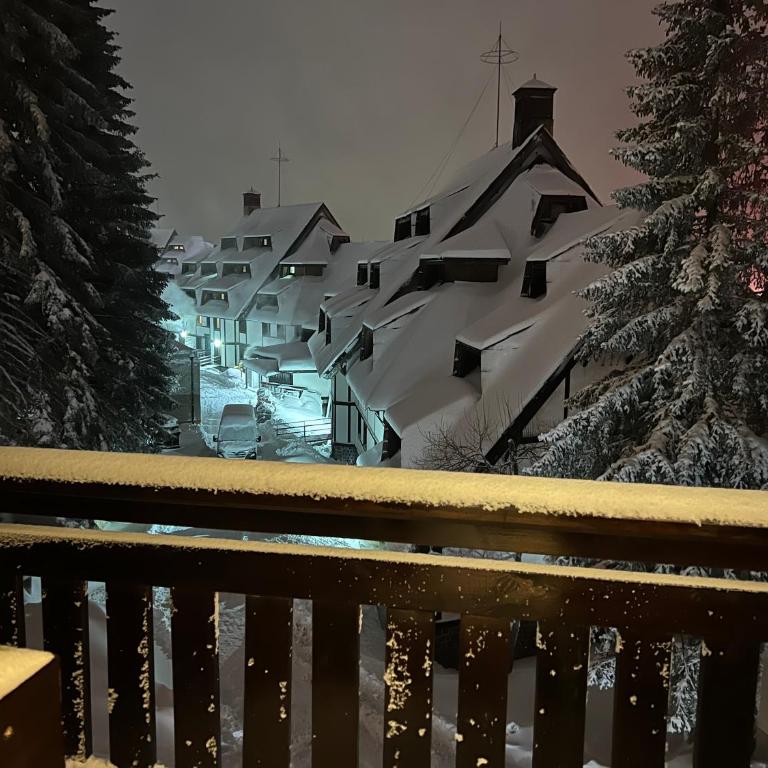 Vila Kopaonik Apartmani Milenkovic - Standardni Trokrevetni Studio - 35
