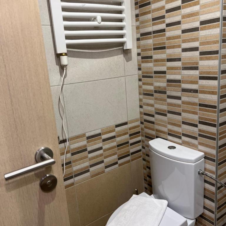 Vila Kopaonik Apartmani Milenkovic - Standardni Trokrevetni Studio - 31
