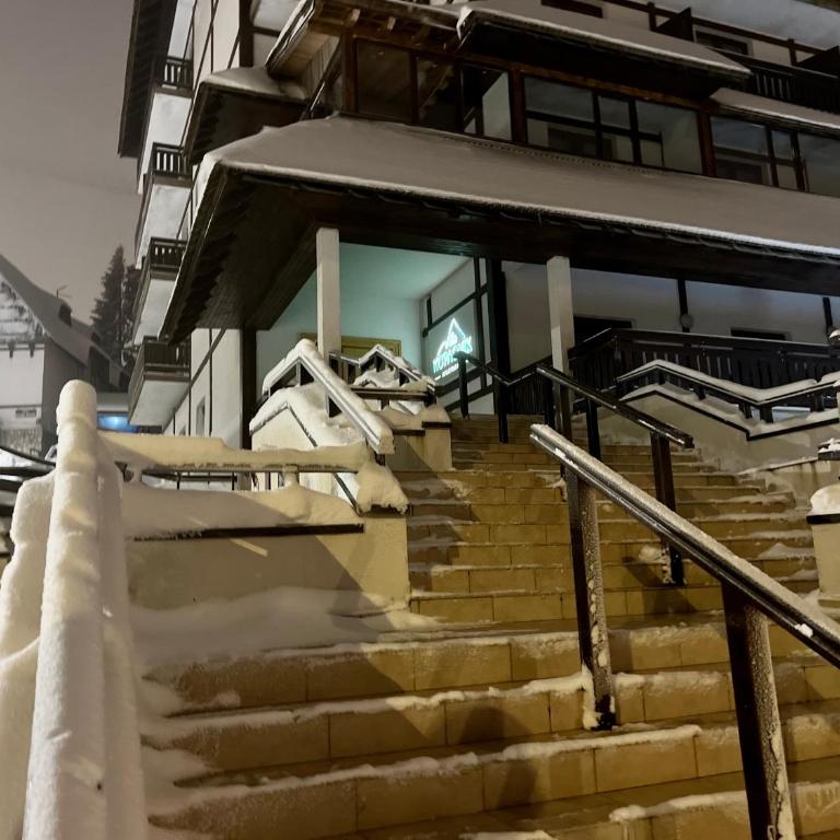 Vila Kopaonik Apartmani Milenkovic - Standardni Trokrevetni Studio - 45