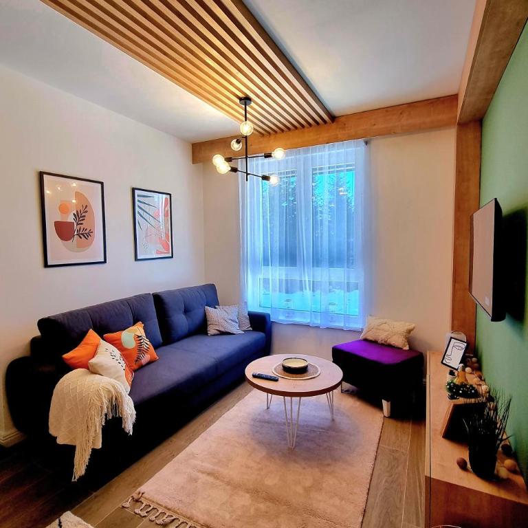 Tamara apartman Jahorina - One-Bedroom Apartment - 11
