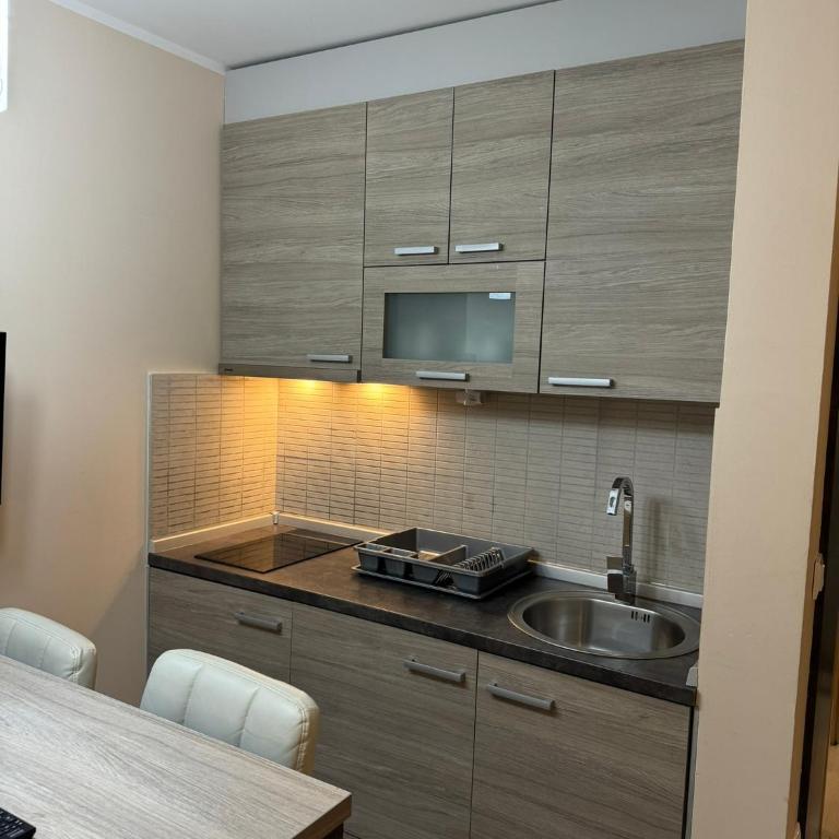Vila Kopaonik Apartmani Milenkovic - Standardni Trokrevetni Studio - 33