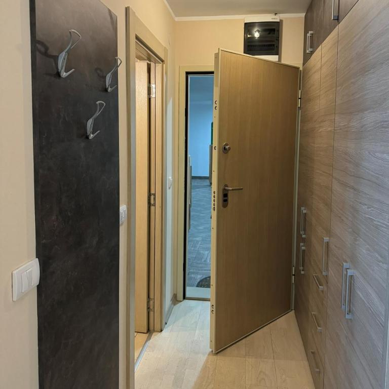 Vila Kopaonik Apartmani Milenkovic - Standardni Trokrevetni Studio - 34