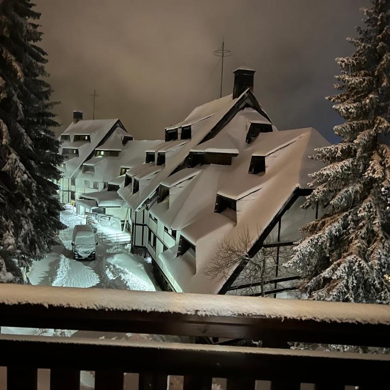 Vila Kopaonik Apartmani Milenkovic - Standardni Trokrevetni Studio - 35