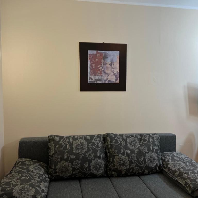 Vila Kopaonik Apartmani Milenkovic - Standardni Trokrevetni Studio - 41