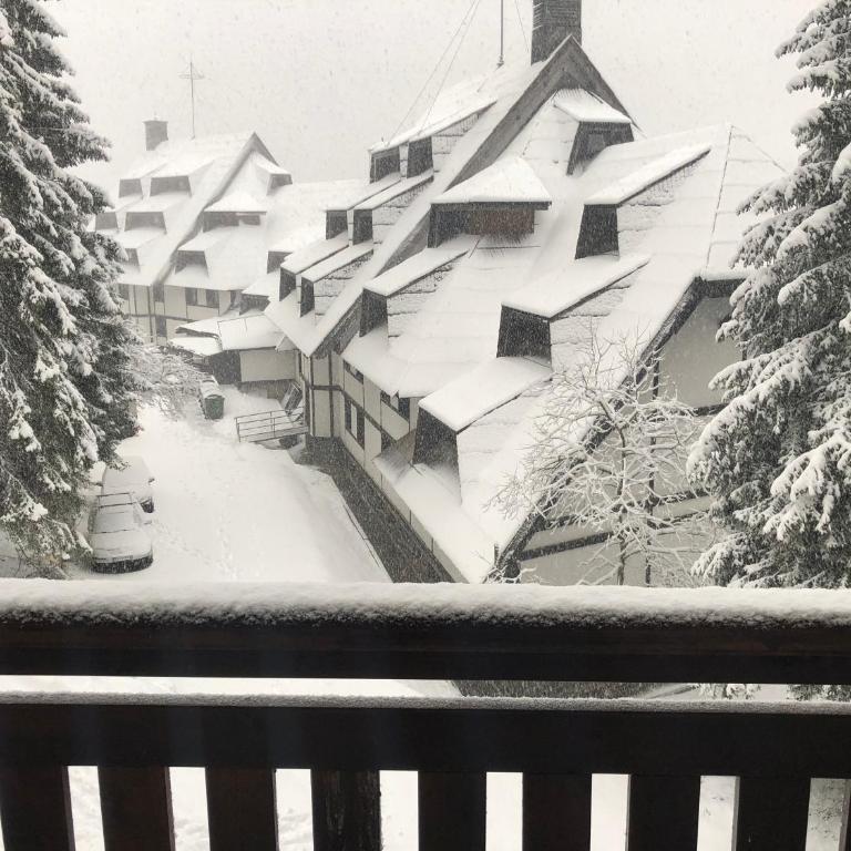 Vila Kopaonik Apartmani Milenkovic - Standardni Trokrevetni Studio - 37