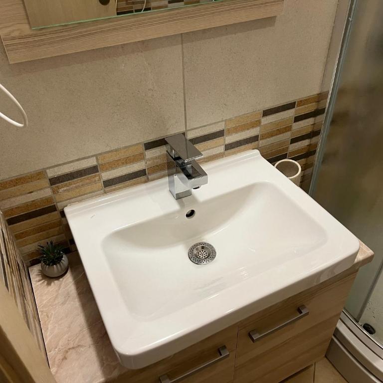 Vila Kopaonik Apartmani Milenkovic - Standardni Trokrevetni Studio - 36