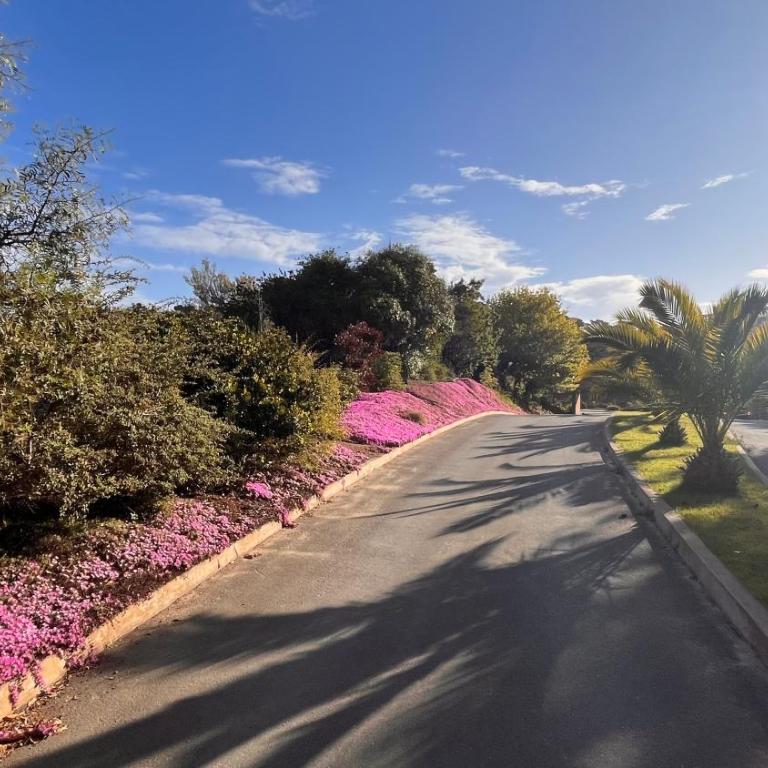 PUNTA FRAILE HAMACA SUITES Frente mar, 140 m2, amplias areas verdes, piscina, hamaca, tranquilidad - Apartamento de 3 dormitorios - 26