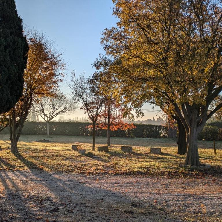 Country house in Arles Provence peaceful and lovely - Apartamento de 1 dormitorio - 15
